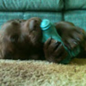 Meet your Posher, Angela